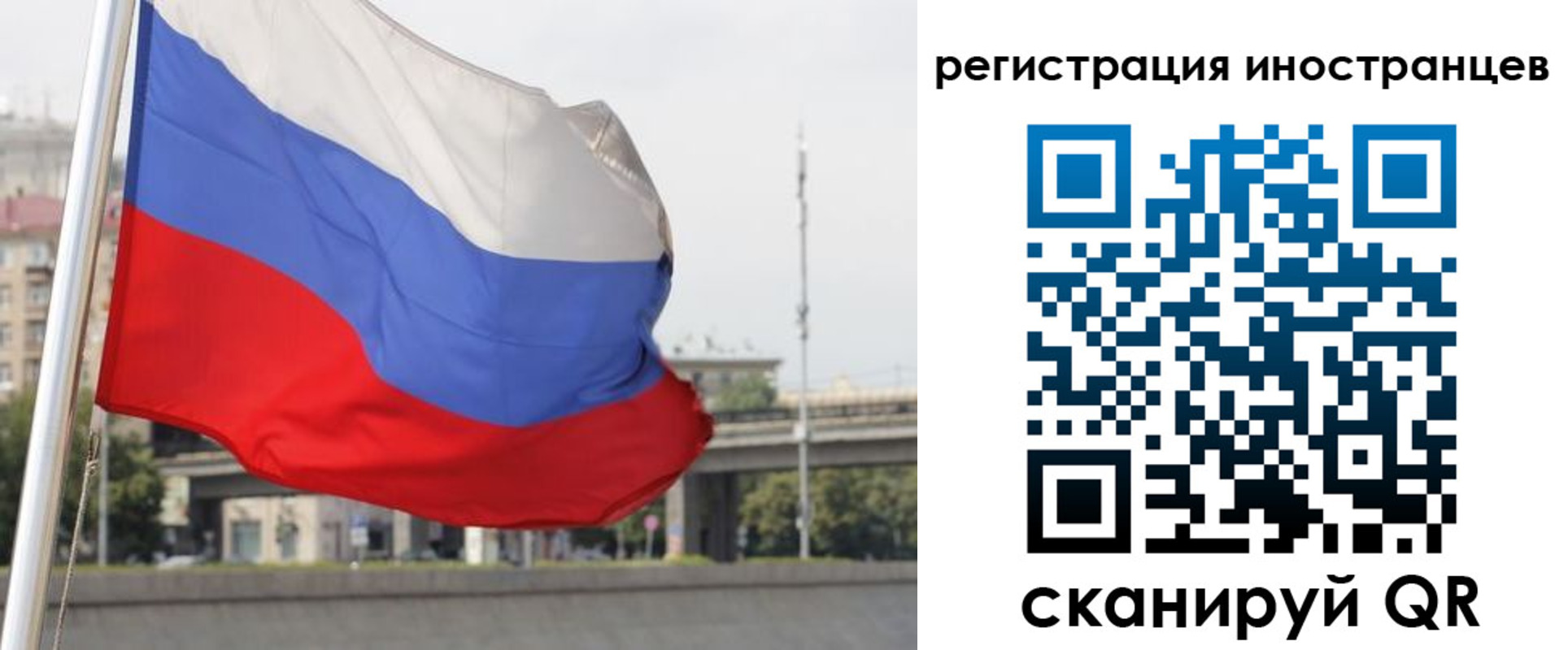 прописка поиск в Нижнем Новгороде